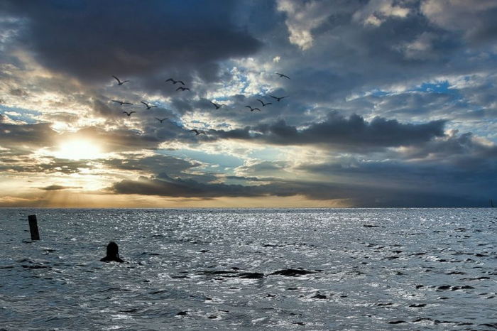 Warren Dunes State Park - 2023 Recent Photo From Website (newer photo)
